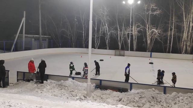Дети в секции хоккея смотреть онлайн