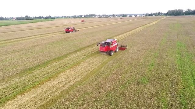 Буда-Кошелевский район 25.07.2018 Особино