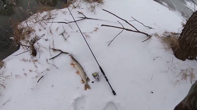 Парковая зона, щучки в конце января смотреть онлайн