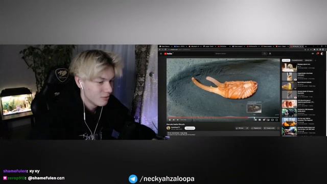 Нарезка стрима neckyah - Стример смотрим как он родился? смотреть онлайн