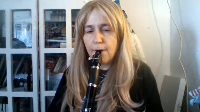 Bundy Clarinet for Rent or Sale смотреть онлайн