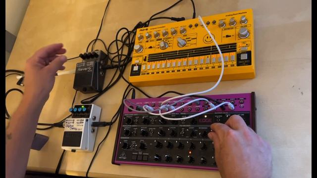 Behringer Edge & RD-6 - Experimental Bass Jam смотреть онлайн