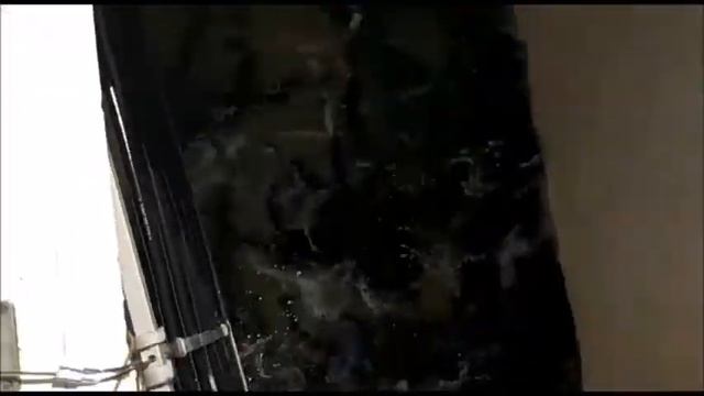 Приход форели на водоём в Савельево-1. 18.05.18г смотреть онлайн