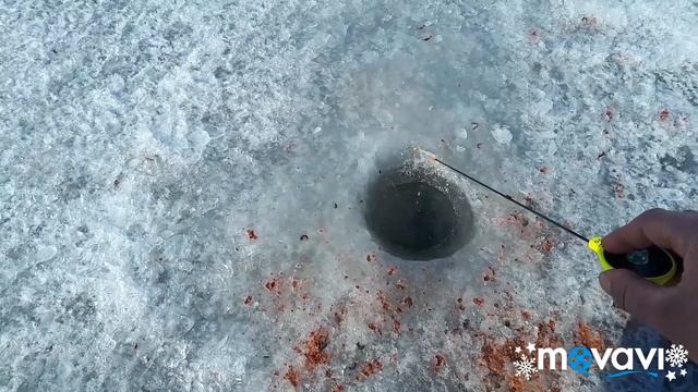 Рыбалка на Самаркандском водохранилище 29.02.2020г смотреть онлайн