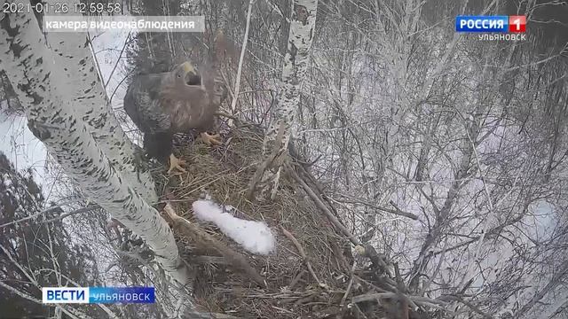 Технологии – на службе науки смотреть онлайн