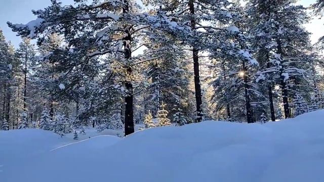 Перовы ушли, но обещали вернуться// Обзор новостей//