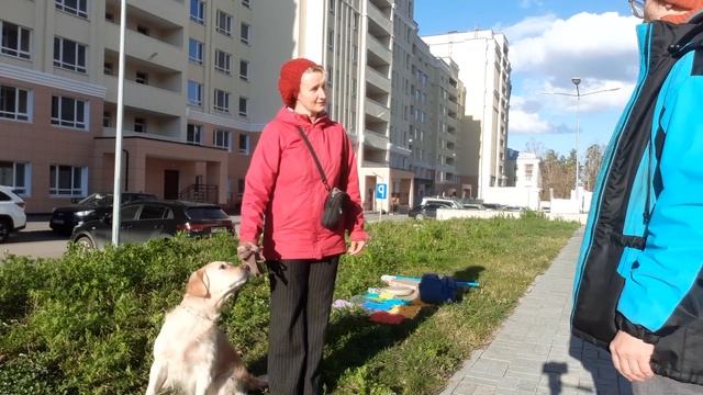 тестирование смотреть онлайн