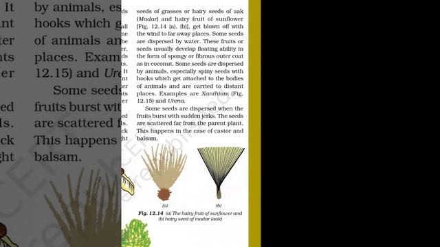 TCS-VII-Science-Topic-Sexual Reproduction [less 12 ,lect-3 ]