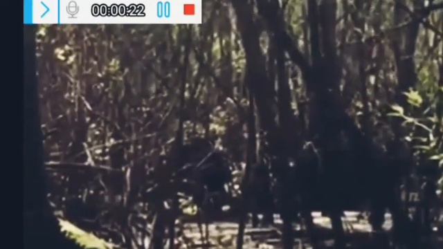 бывший президент, республики Украины, замарук Олег увлекался пристрастно искуством, портретами... смотреть онлайн