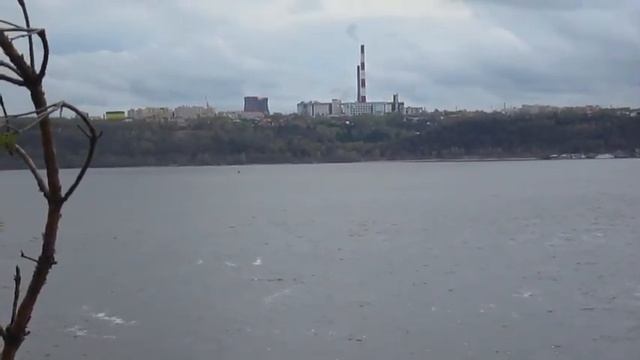 Заволжье. Подснежниковые поляны. Чебоксары. 4 мая 2021 смотреть онлайн