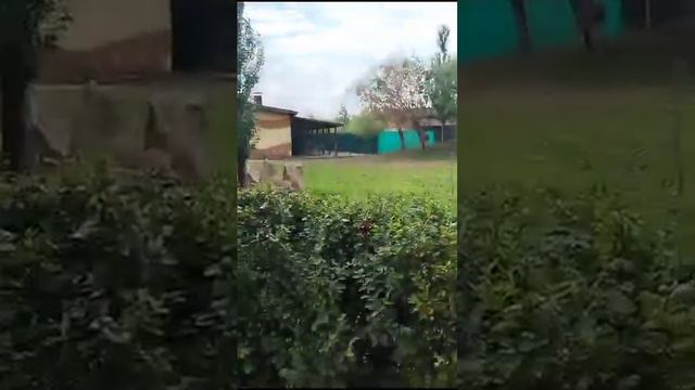 Поход в казанский зоопарк часть 2 смотреть онлайн