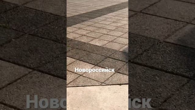 Шум морской волны и чаек…Доброй ночи, МИР❗️ #переезднаюг #новороссийск смотреть онлайн