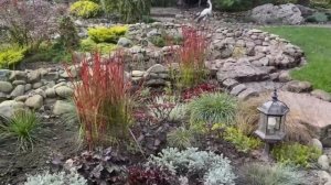 Обрезка осоки Морроу,многолетних почвопокровных растений и когда нужно удалить цветоносы у гейхеры