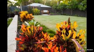 Кротон - посадка и уход за пестролистным красавцем