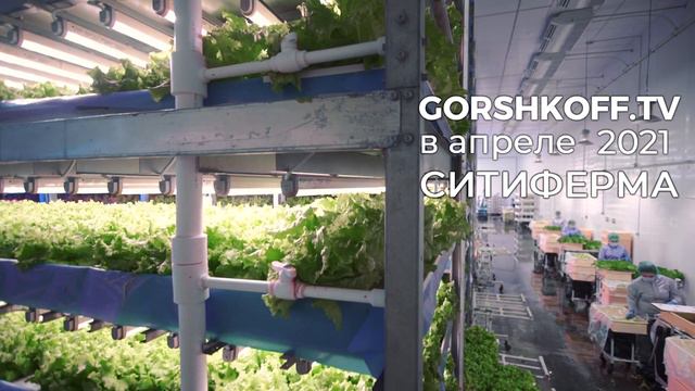 Фабрика растений. Ситиферма Россия. Тизер #237 смотреть онлайн