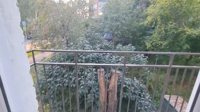 Толстого 52 смотреть онлайн