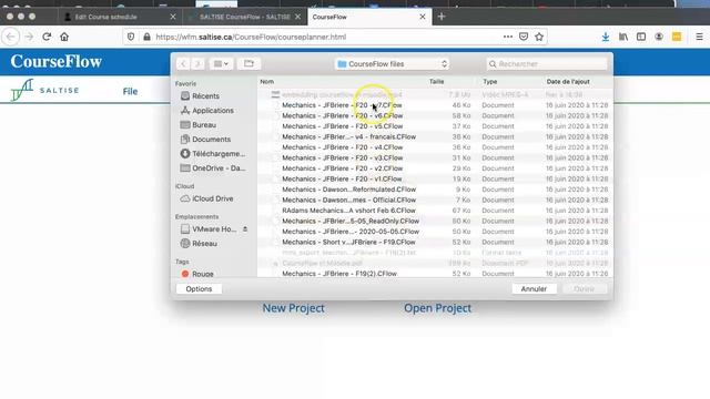 Embedding CourseFlow in Moodle смотреть онлайн