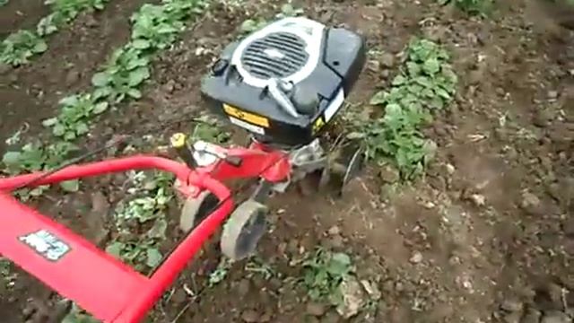 Уход за картошкой, рыхлення с помощю мотоблока часть 1 смотреть онлайн