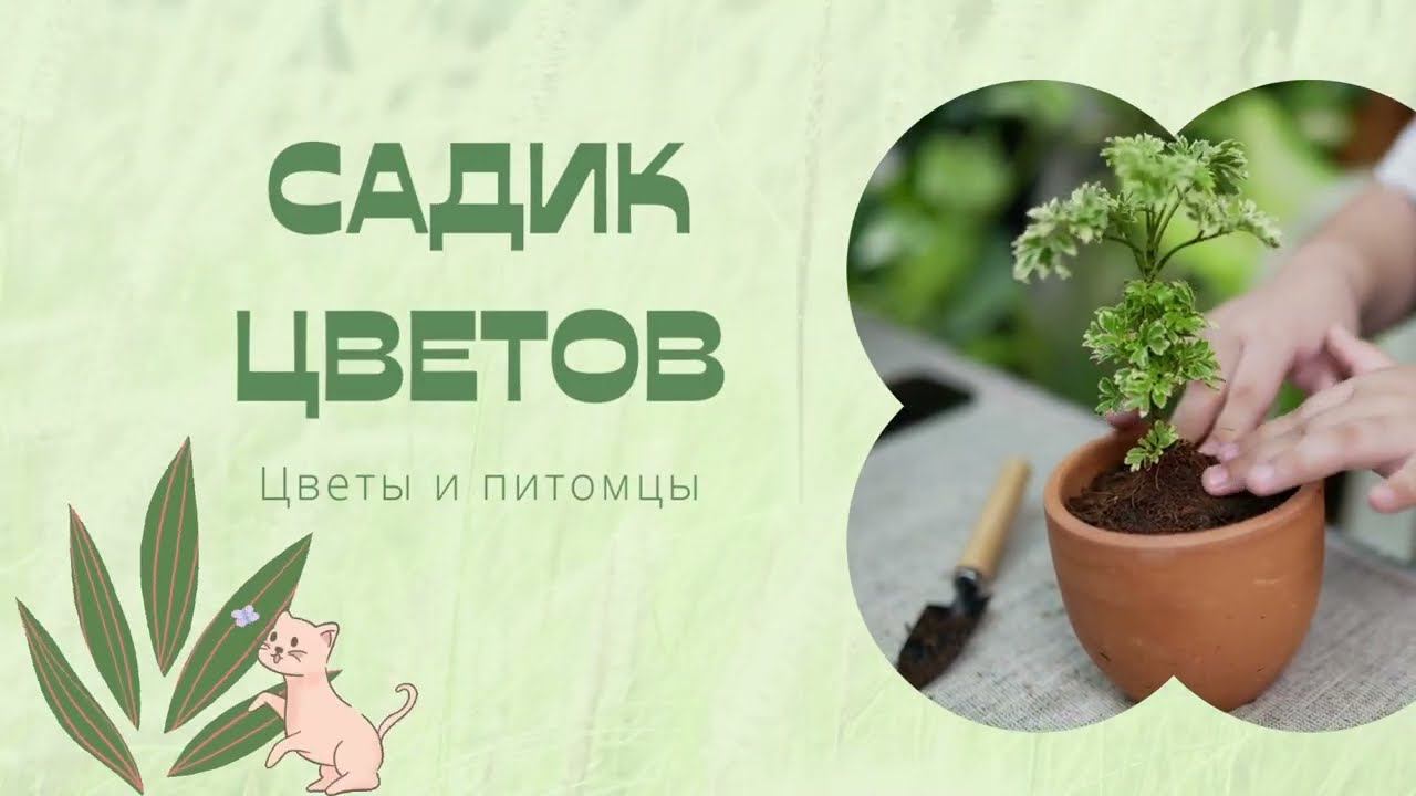 Где, что и как... Обо мне и моих делах . смотреть онлайн