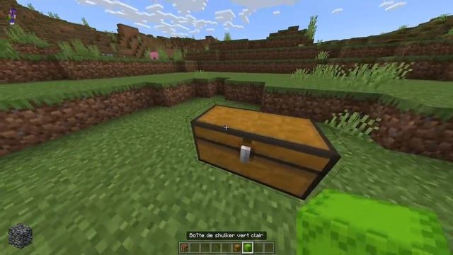 Minecraft Java VS Bedrock : Les 30 différences étranges ! смотреть онлайн