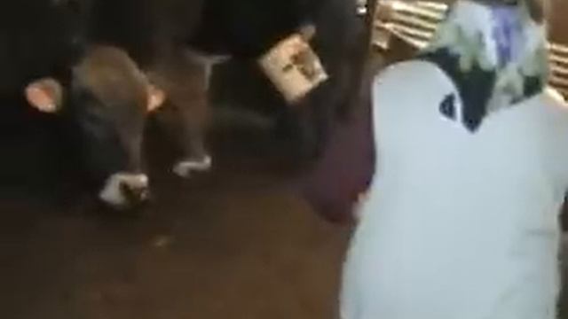 Ali ahıska смотреть онлайн