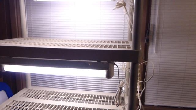 Огородничество. Выпуск #4 - Стенд для Выращивания Рассады. Подсветка рассады. Аляска, Анкоридж, США смотреть онлайн