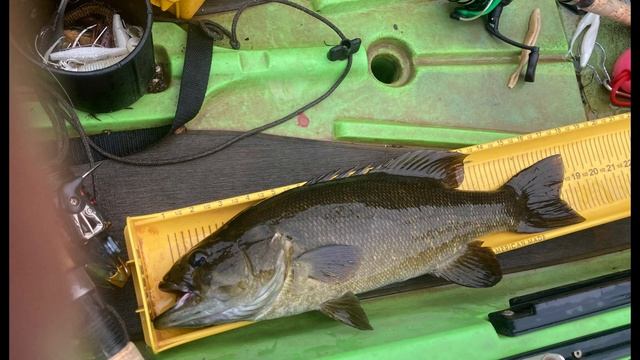 Last Week of 2021 River Smallmouth Bonanza | BigBaitPosse | KayakBassFishing смотреть онлайн