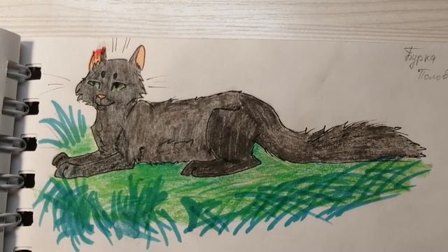 /Рисунки котов воителей/ 8 часть💫 смотреть онлайн