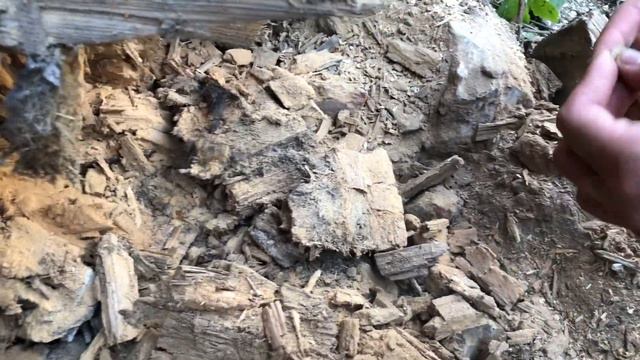 Закладные монеты заброшенная деревня смотреть онлайн