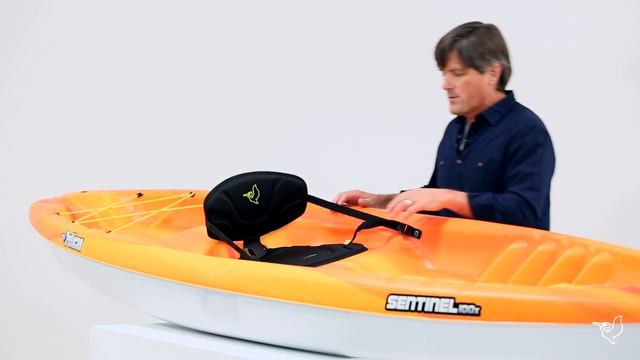 Pelican Sentinel 100X смотреть онлайн