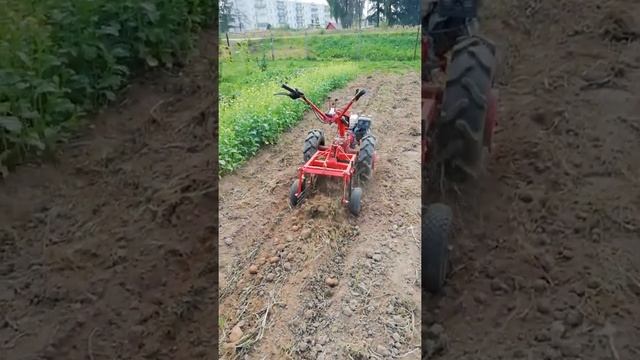 мтз мотоблок бульба! смотреть онлайн