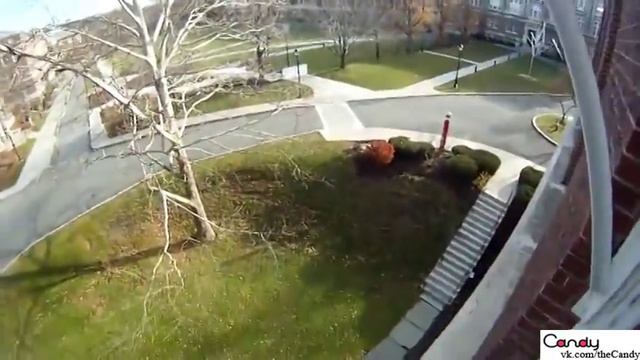 парень лезет по стене смотреть онлайн