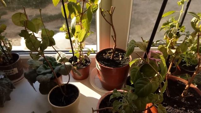 СтройКонтроль