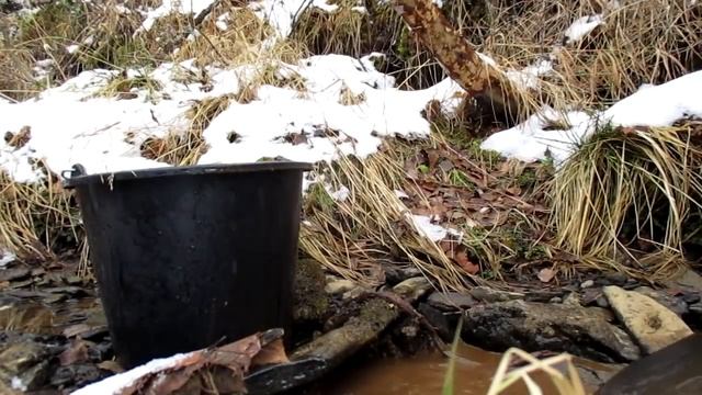 Золото белой тропы смотреть онлайн