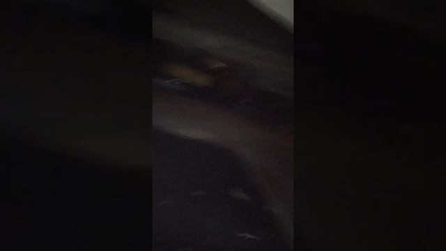 смазка автомобиля. ЗИЛ 45085. смотреть онлайн