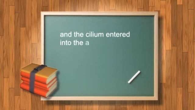 Cilium in anterior chamber with an intact globe: Is it possible? смотреть онлайн