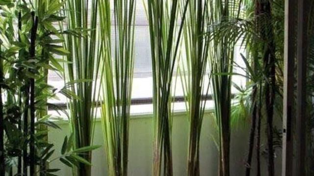 Ремонтная Мастерская