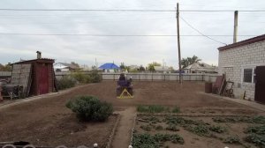 Выравнивание огорода после выкапывания картофеля.