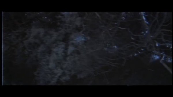 LXST CXNTURY - ALPHA