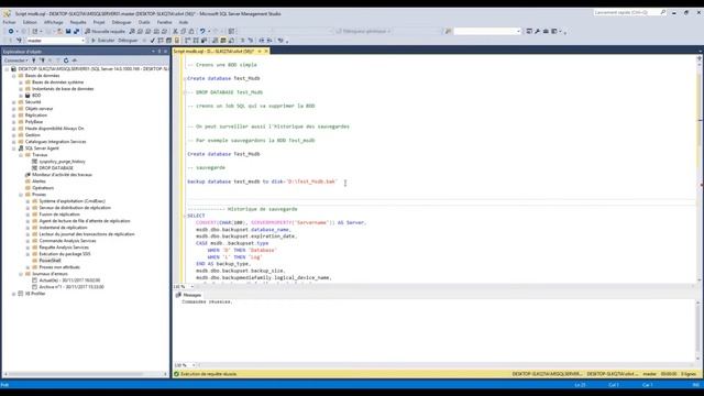 Quelle est lutilité de la base de donnée Msdb ? | (exemple simple) смотреть онлайн