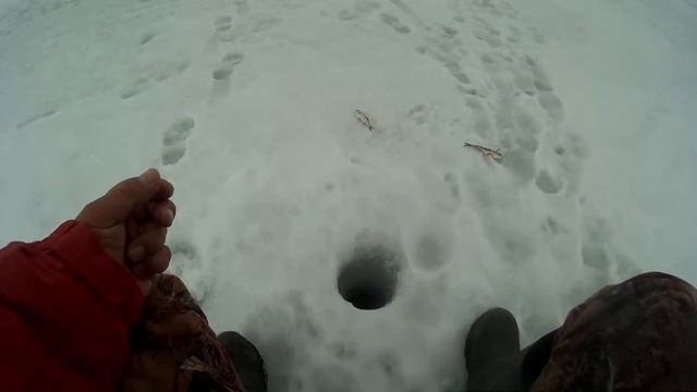 Закрытие зимнего сезона... смотреть онлайн