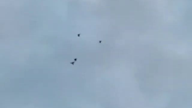 Вечерняя разминка. смотреть онлайн