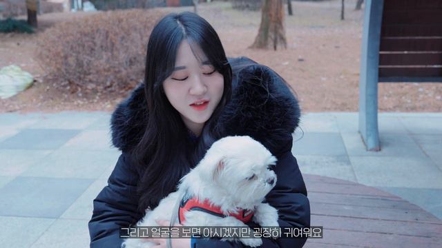 이건 진짜 대박! 2024년 2채널 무선 마이크 추천! 정말 작고 귀여운데 음질도 좋아요! 홀리랜드 LARK M2 (HOLLYLAND Lark M2) смотреть онлайн
