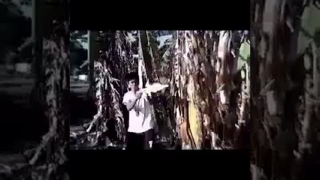 The Banana Warfare II CV PRODUCTION смотреть онлайн