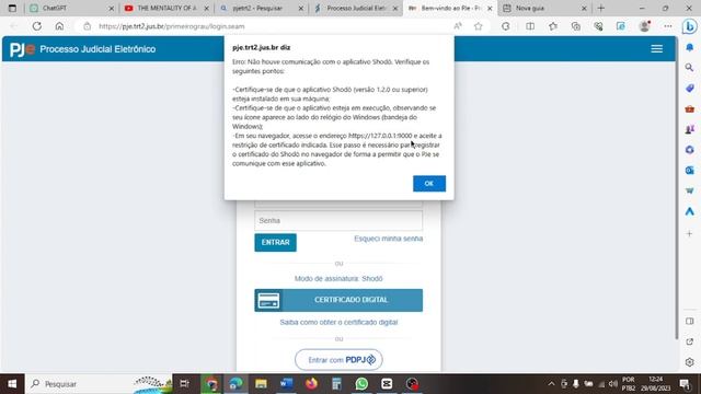 COMO RESOLVER ERRO PJE "NÃO HOUVE COMUNICAÇÃO COM O APLICATIVO SHODO"? PROBLEMA RESOLVIDO смотреть онлайн