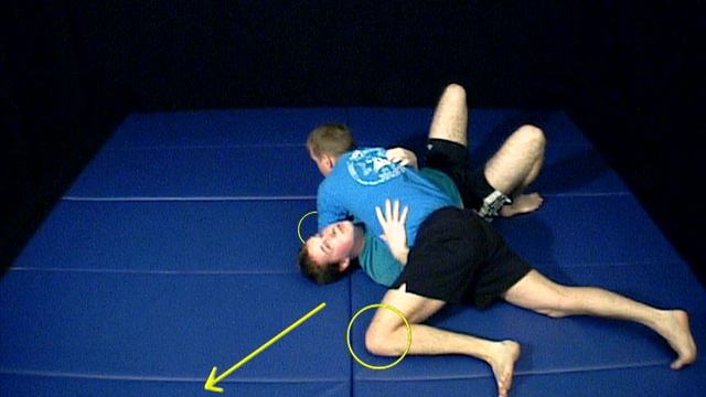 Основные концепции JKD - Учебная программа по грэпплингу, уровень 1 смотреть онлайн