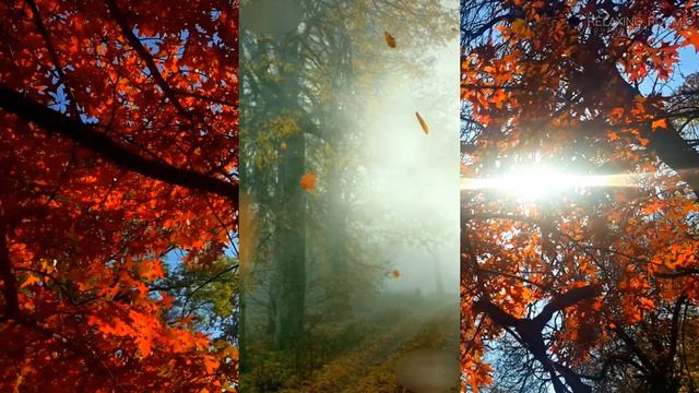 Виктор Носов "Старость" смотреть онлайн