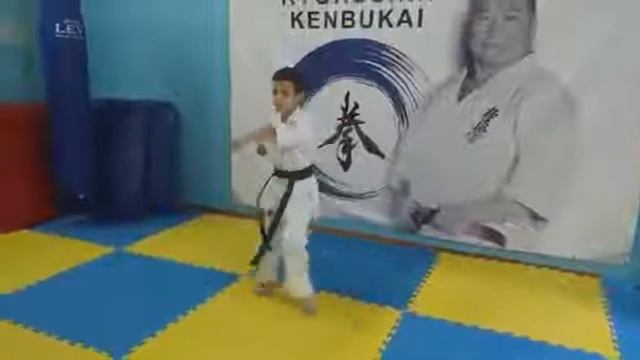 Техника 4 кю (Киокушин Кенбукай Украина) смотреть онлайн