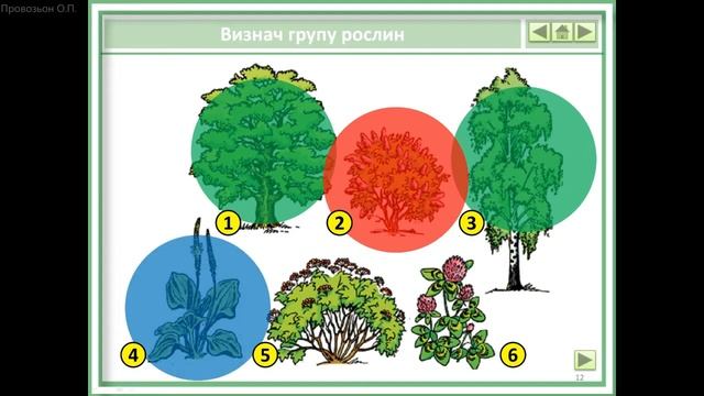 Дерева, кущі, трав'янисті рослини смотреть онлайн