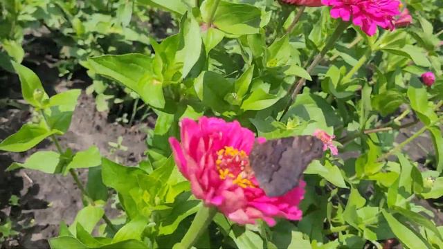 Отгони свои сомнения ! Всё, от моря до небес, человек,и всё творенье,БОЖЬЕ ЧУДО из чудес! смотреть онлайн